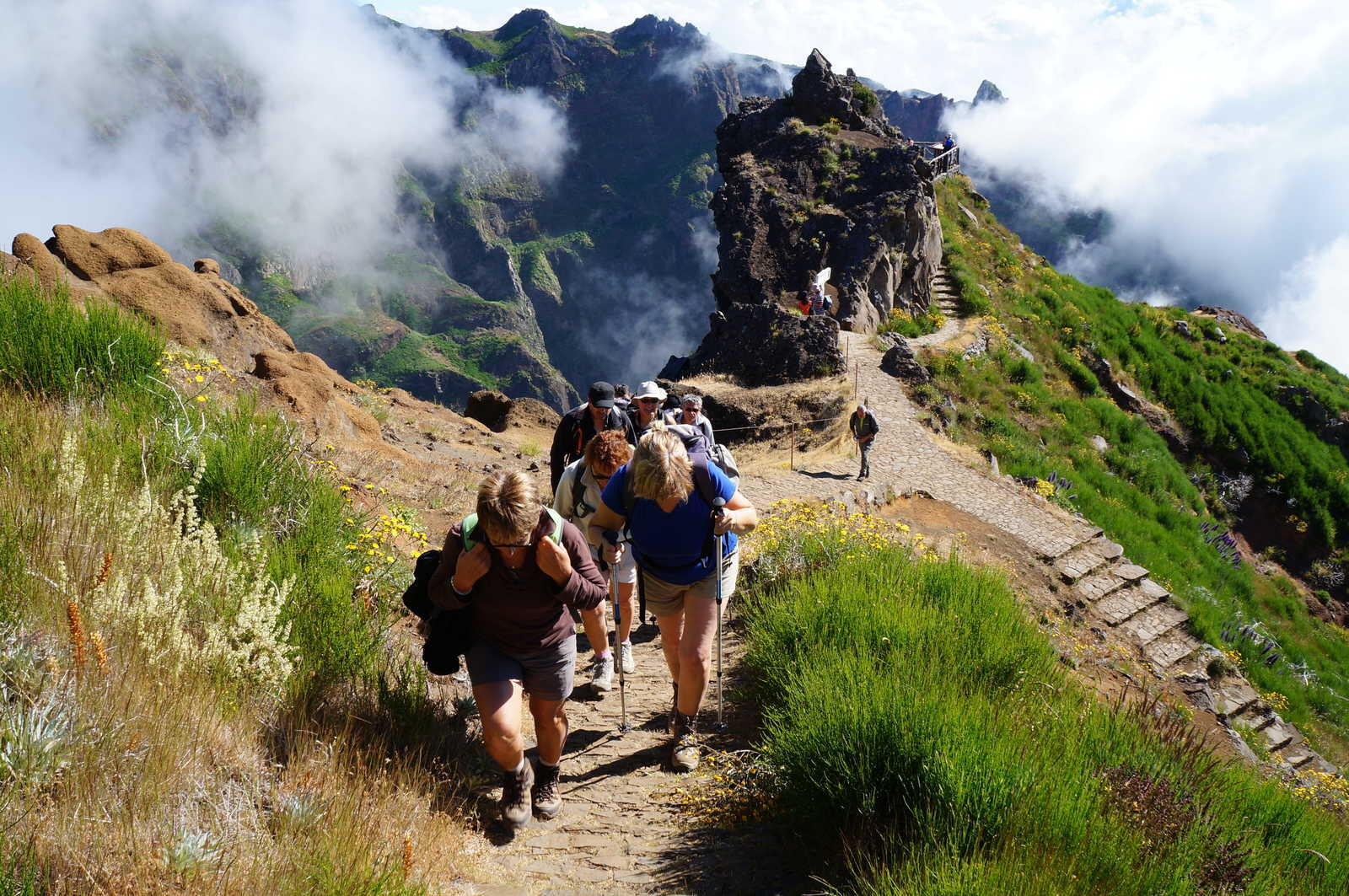 DECATHLON TRAVEL picture