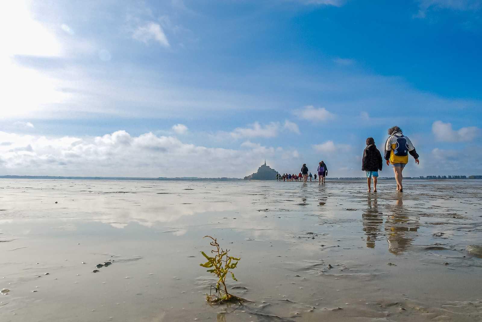 DECATHLON TRAVEL picture
