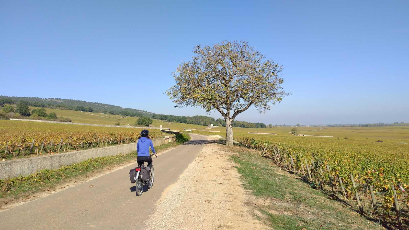 Week-end à vélo au cœur des vignes de Dijon à Beaune | 3 jours 1/1