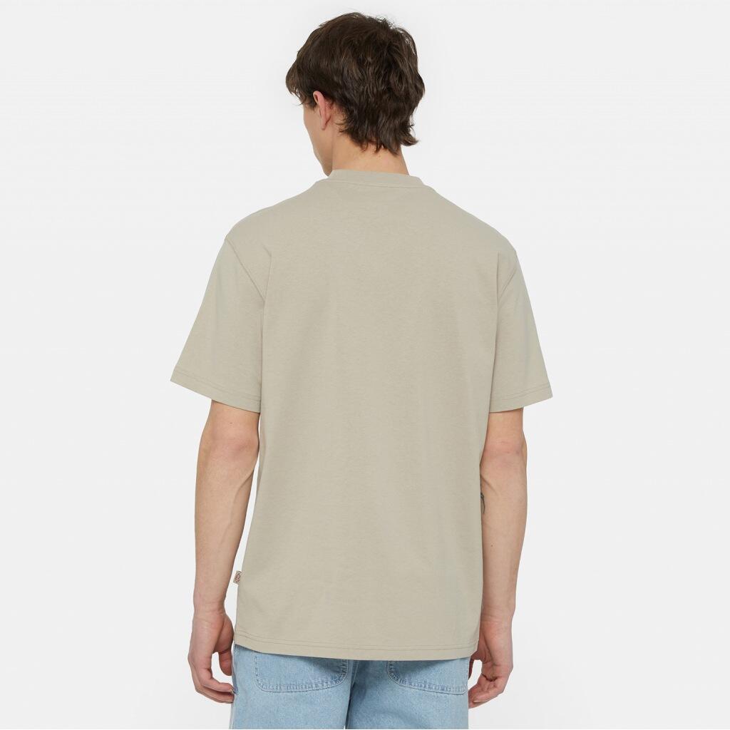 T-shirt Dickies Modèle Summerdale Ss Tee Couleur Marron 3/5