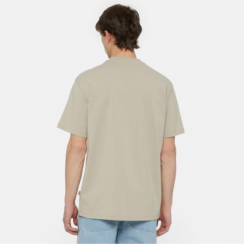 Camisetas Hombre Dickies Summerdale Ss Tee Marron