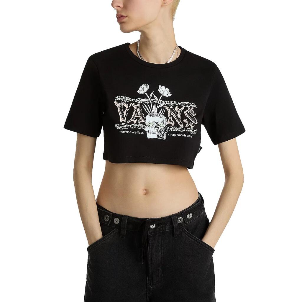 VANS picture