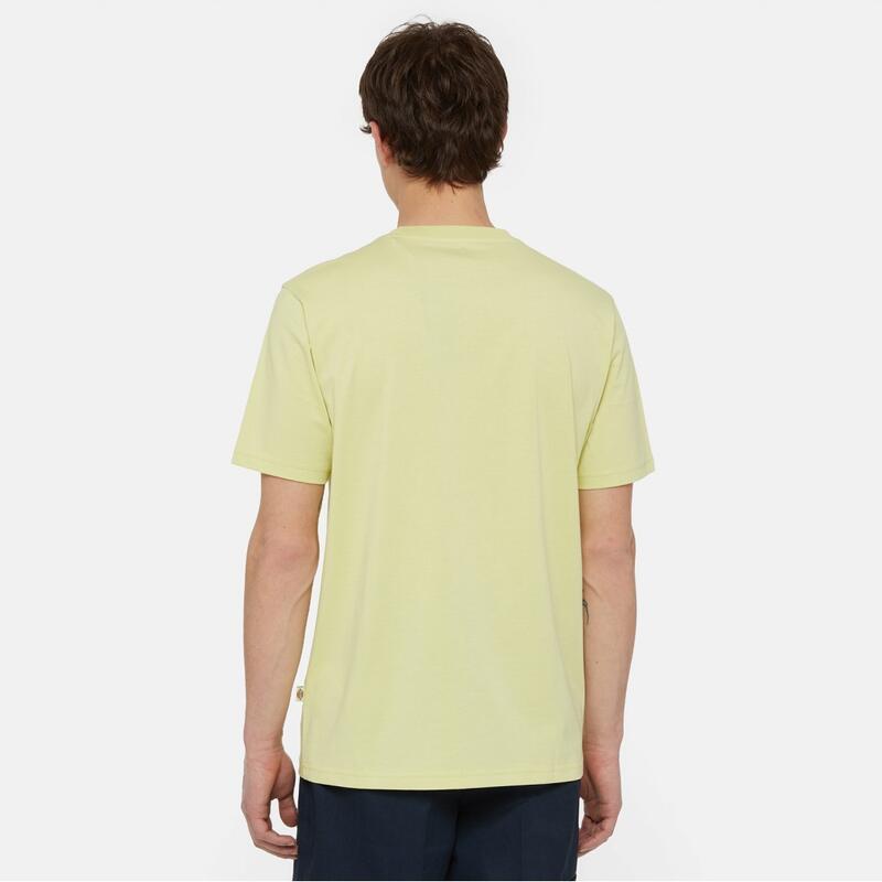 Camisetas Hombre Dickies Ss Mapleton Tee Verde