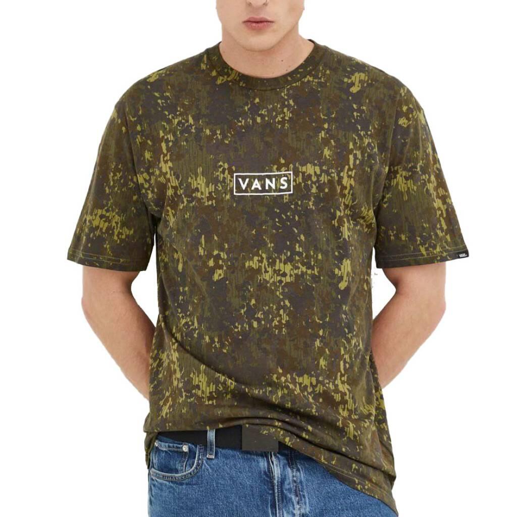 VANS picture