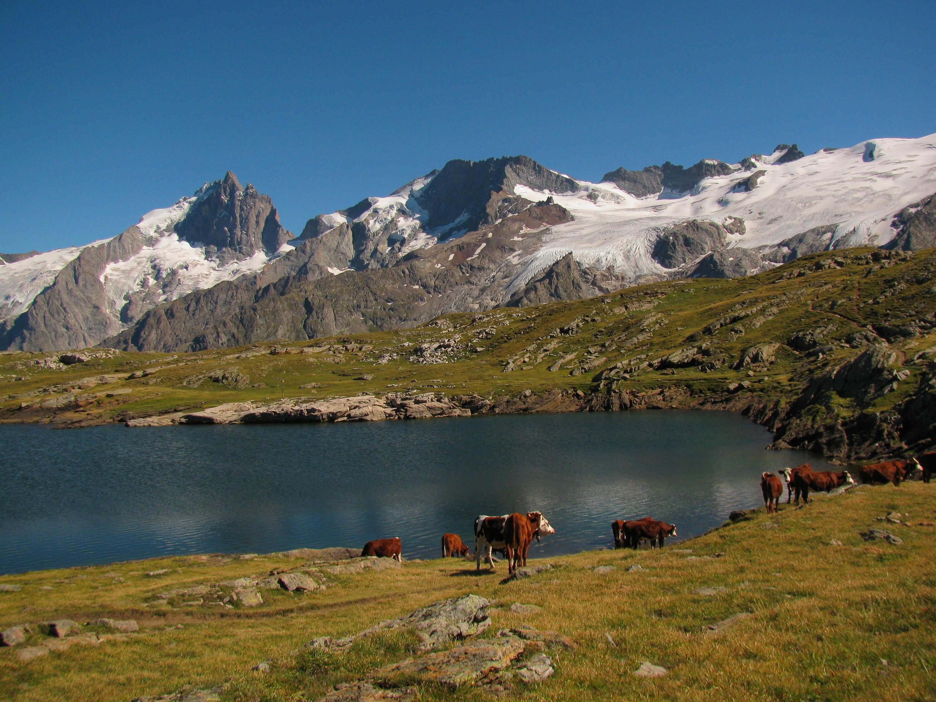 Wandelen in de valleien van de Haute-Romanche 1/1