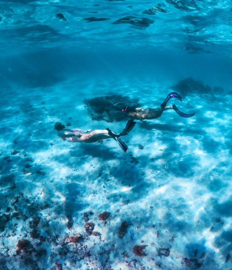 Initiation à la plongée à Tamarin sur l'île Maurice 1/1
