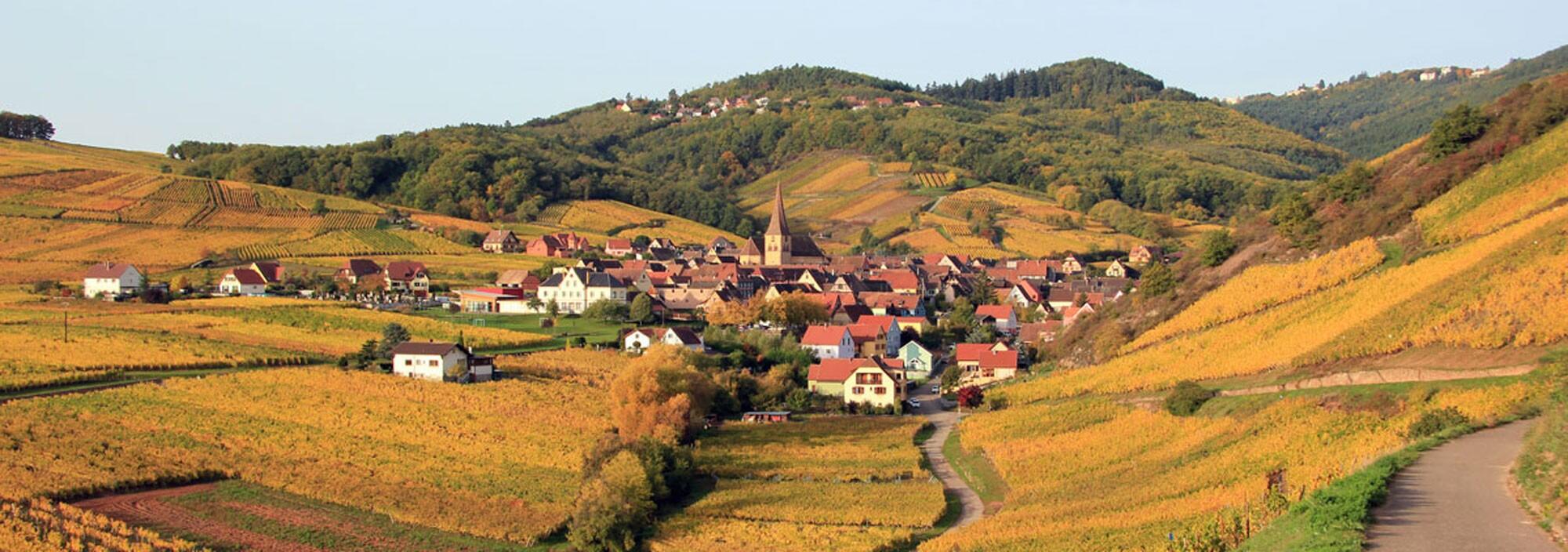 Séjour itinérant en randonnée de Colmar au Mont Sainte Odile 1/1