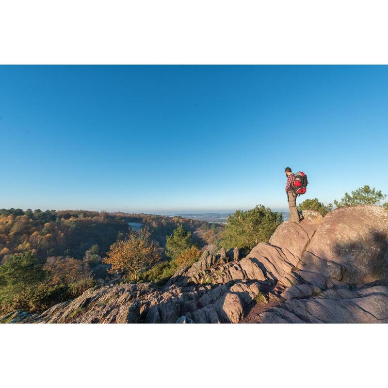 Het bos van Brocéliande als familie