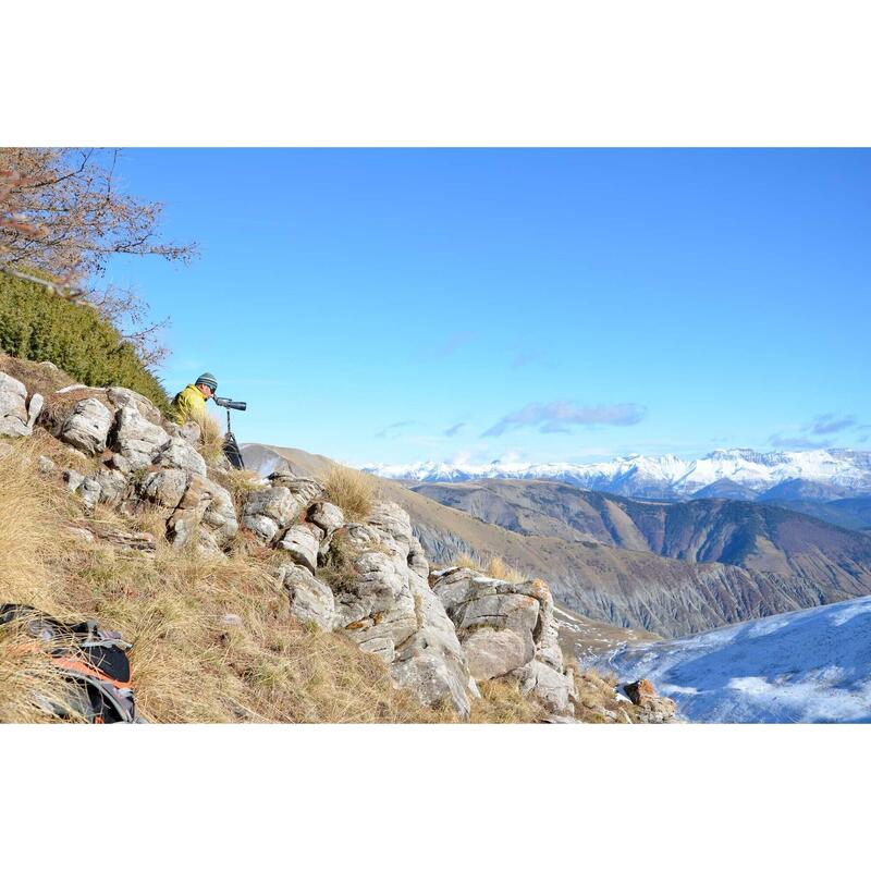 Randonnée immersive sur les traces du loup dans les Alpes du Sud