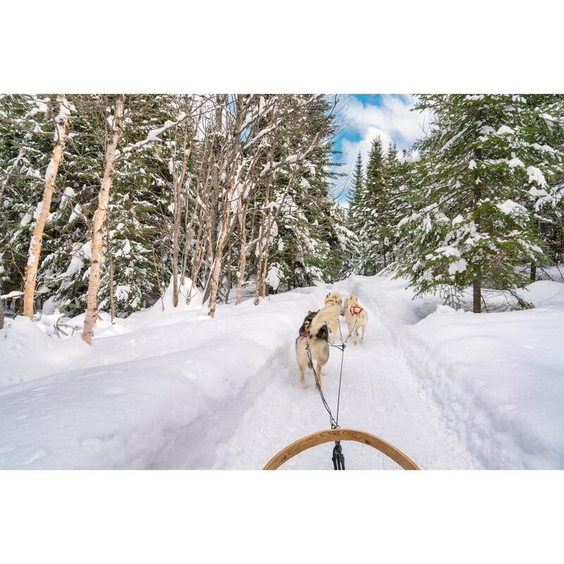 Een besneeuwde winter in Quebec