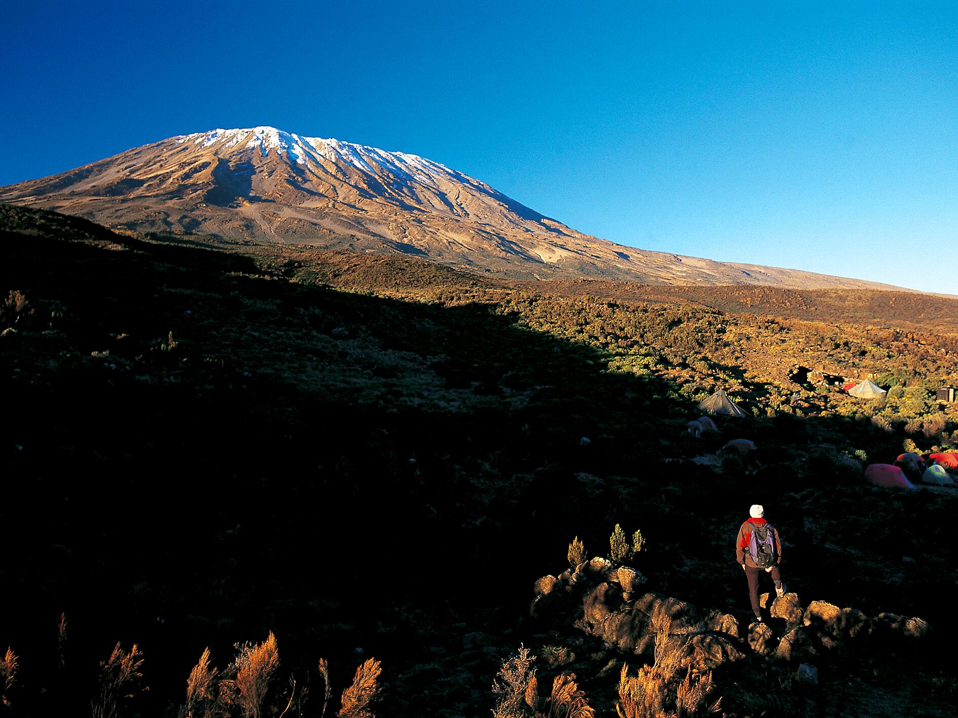 DECATHLON TRAVEL picture