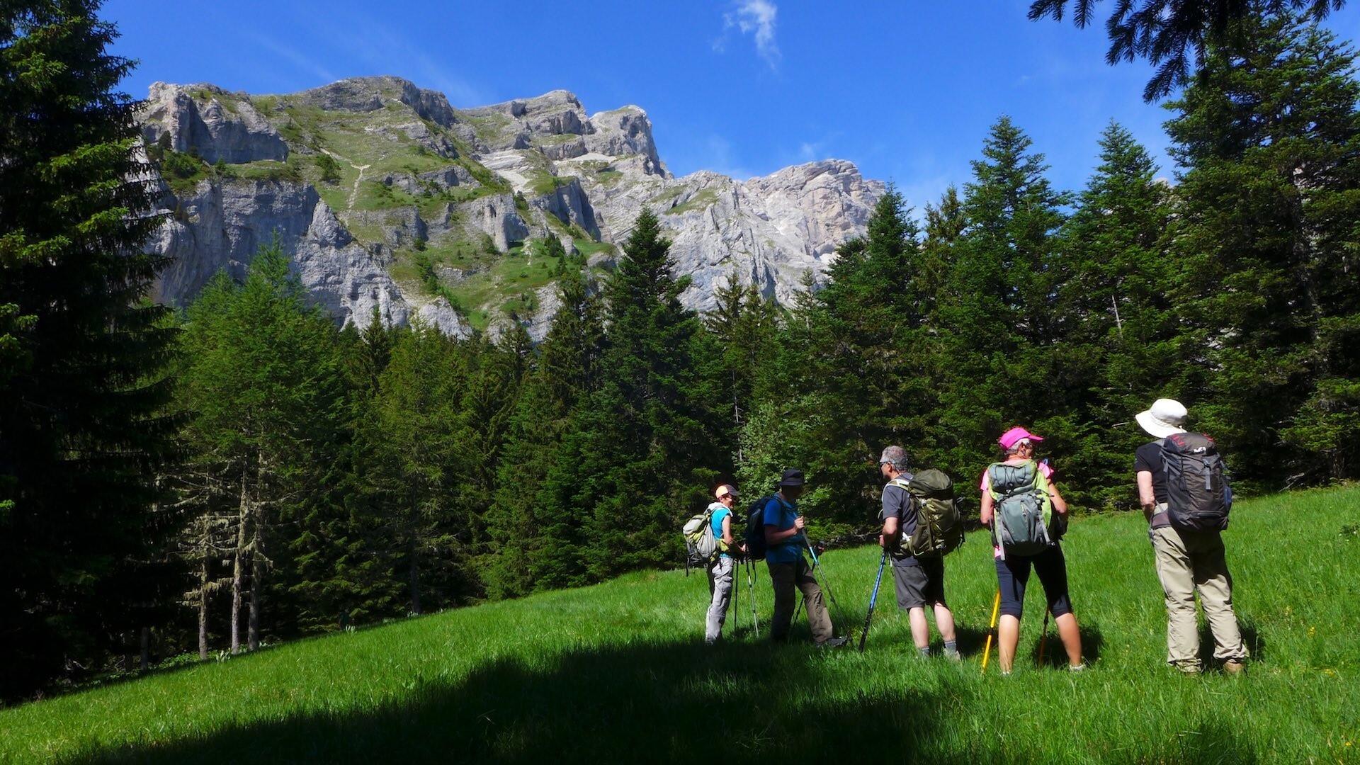 DECATHLON TRAVEL picture