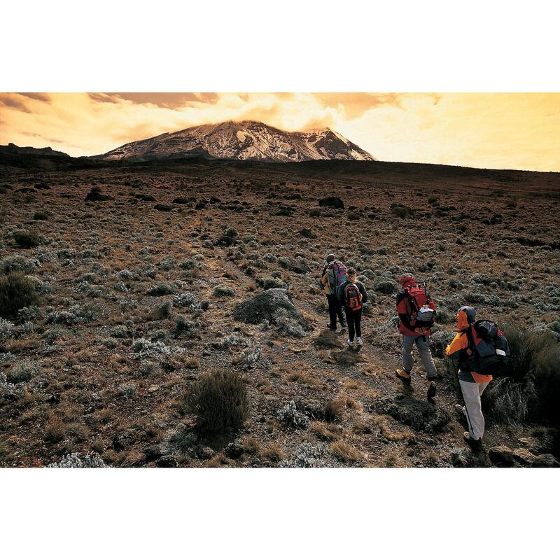 Privébeklimming van de Kilimanjaro via de Machame