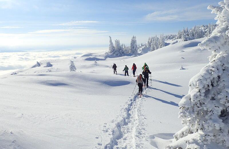 DECATHLON TRAVEL picture