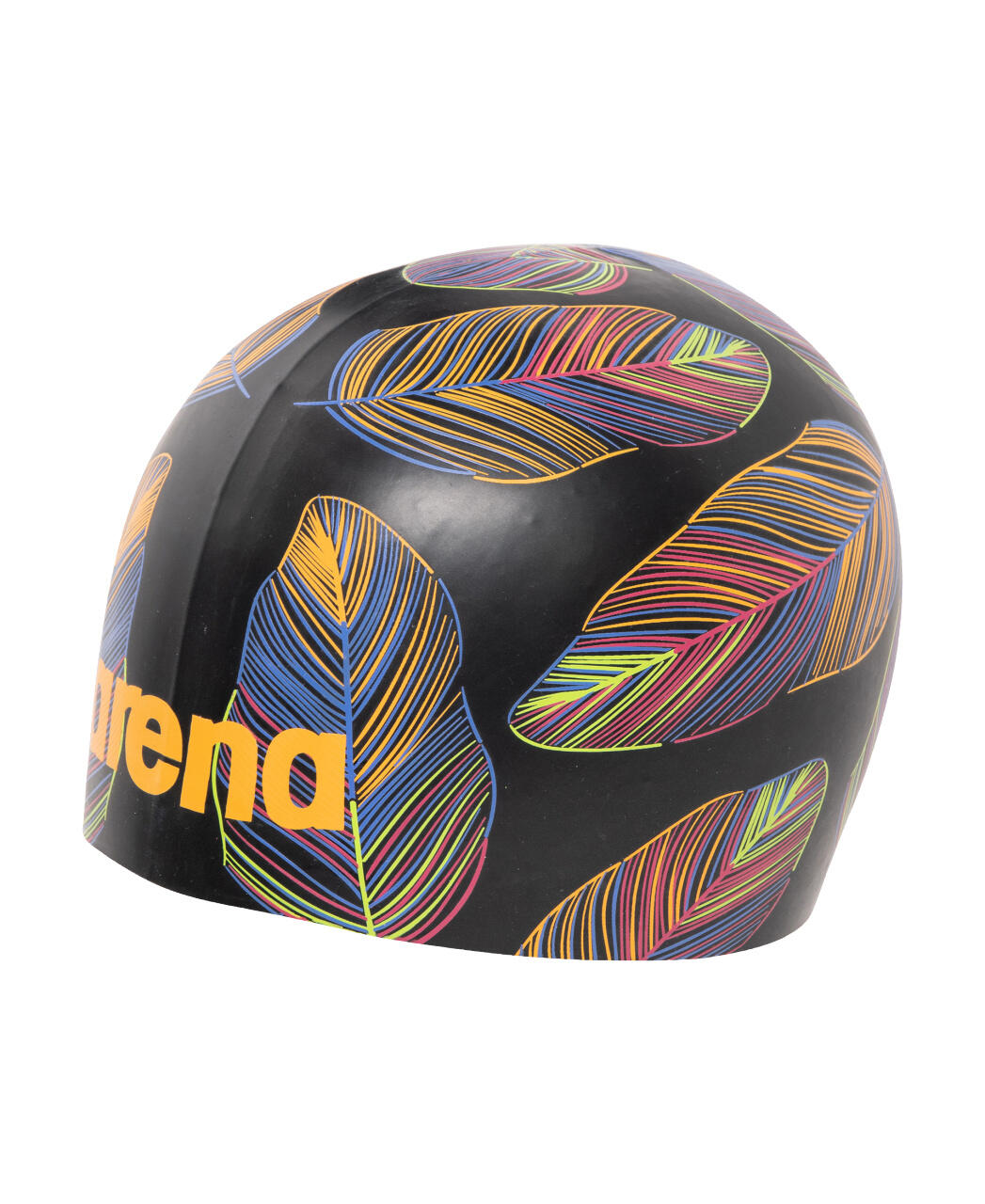 ARENA picture