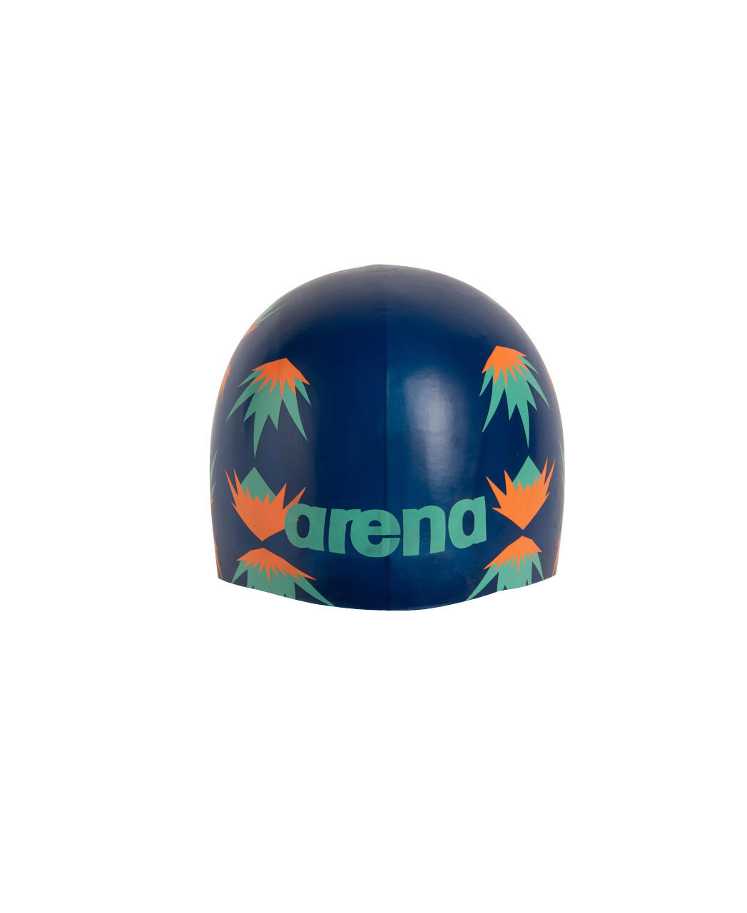 ARENA picture