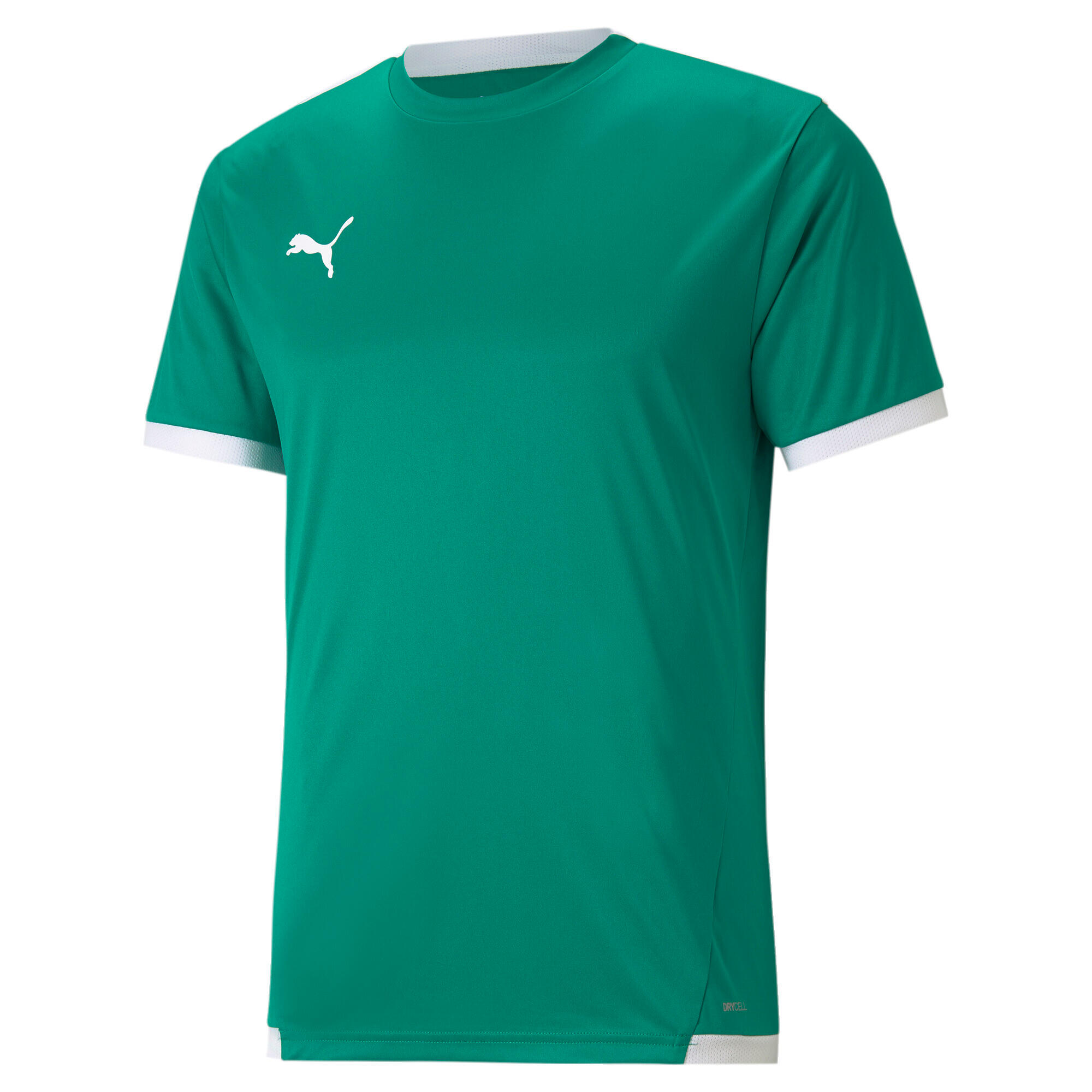 PUMA picture