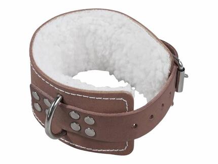 Correa de tobillo musculacion