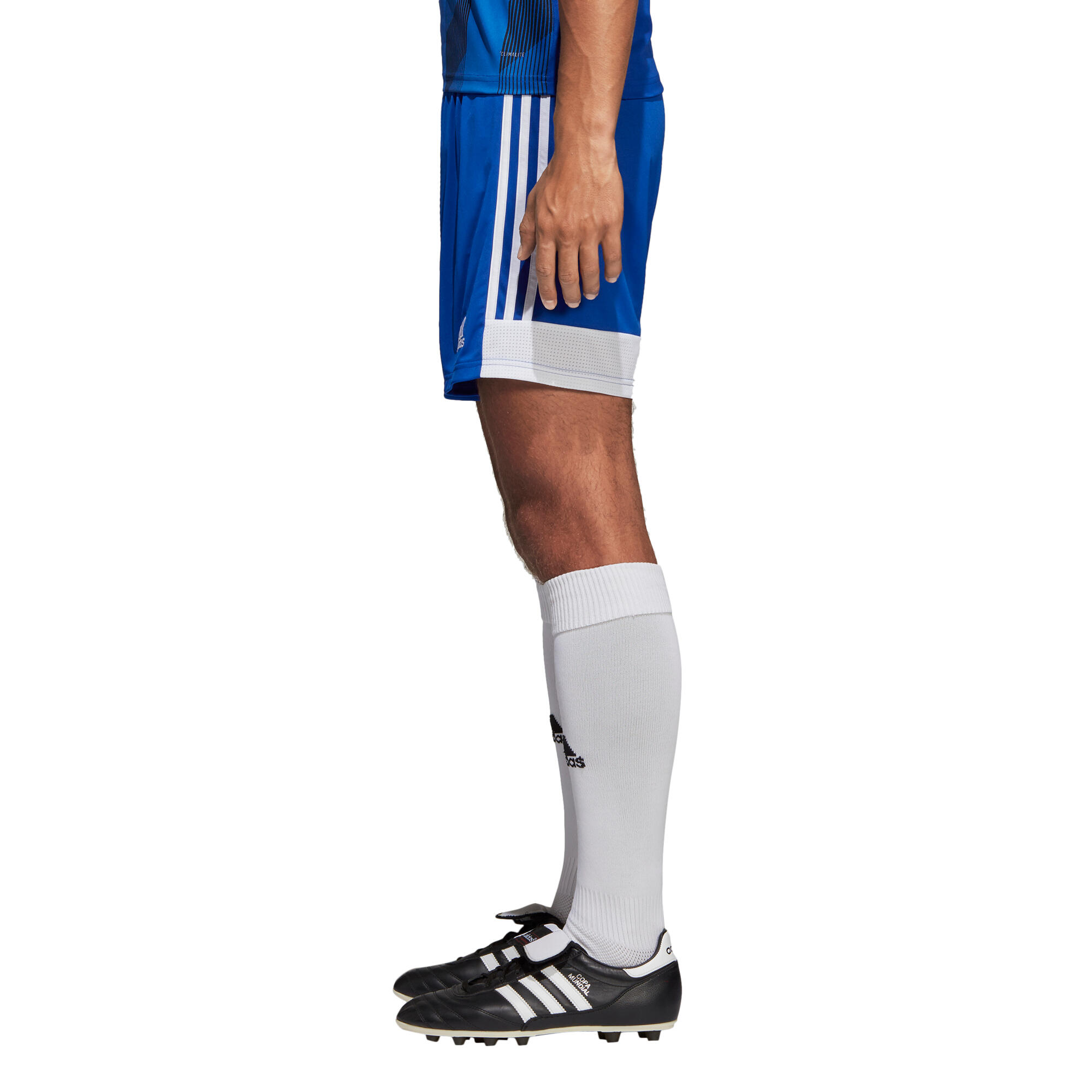 Short adidas Tastigo 19 3/7