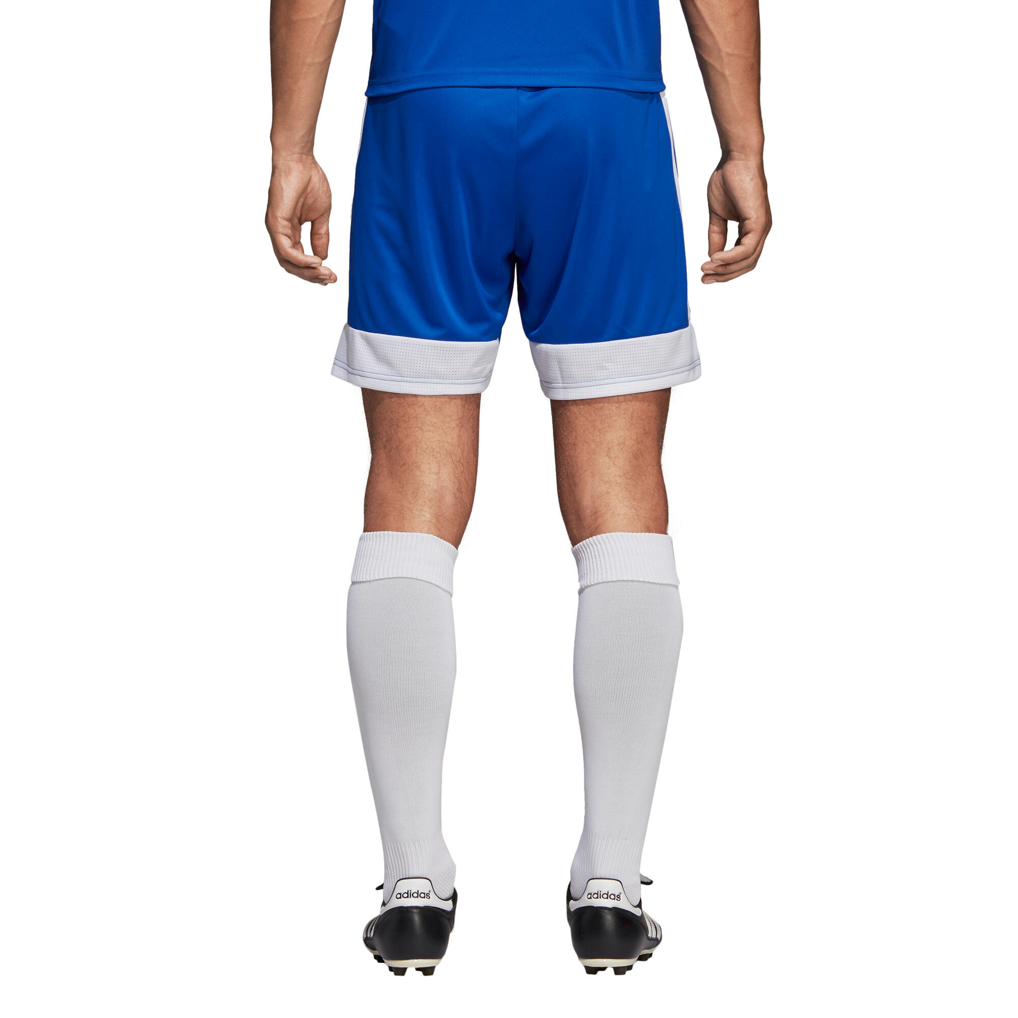 Short adidas Tastigo 19 4/7