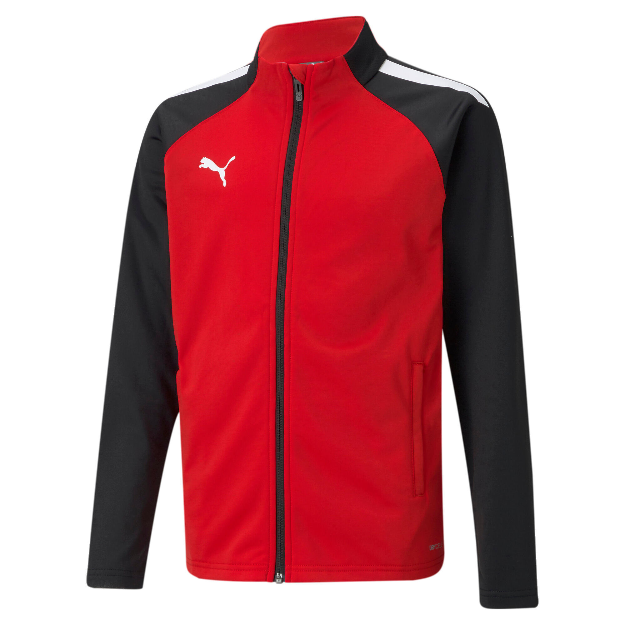 Children's jacket Puma Team Liga Training