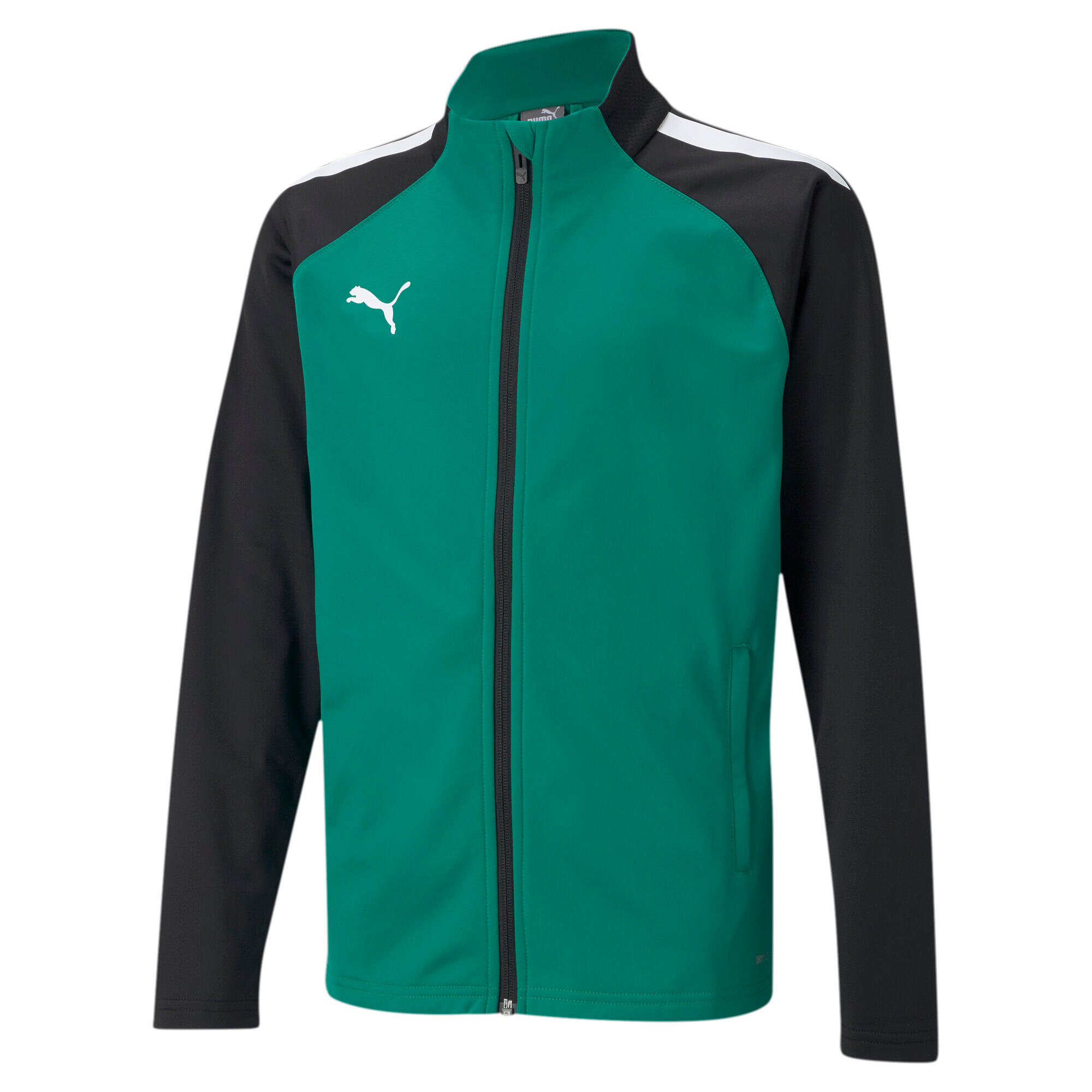 Children's jacket Puma Team Liga Training