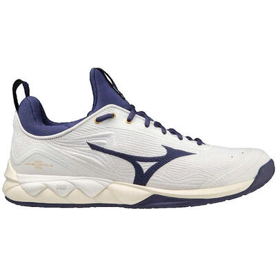 Zapatillas de running Adulto Mizuno Alpine Guide Blanco