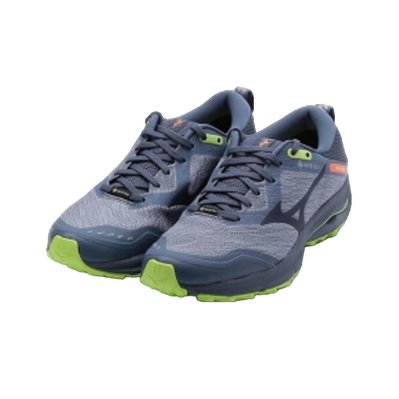 Zapatillas de running Mujer Mizuno Wave Rider Gtx Gris