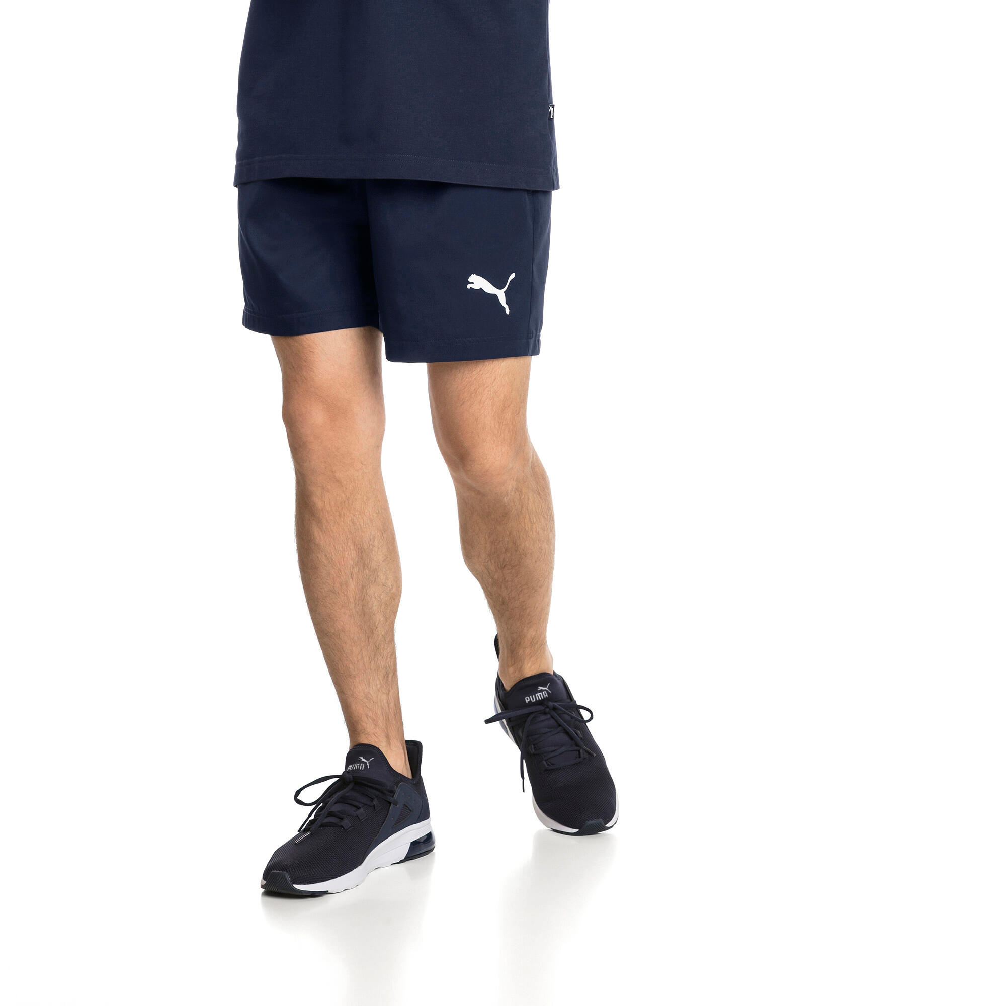 PUMA picture