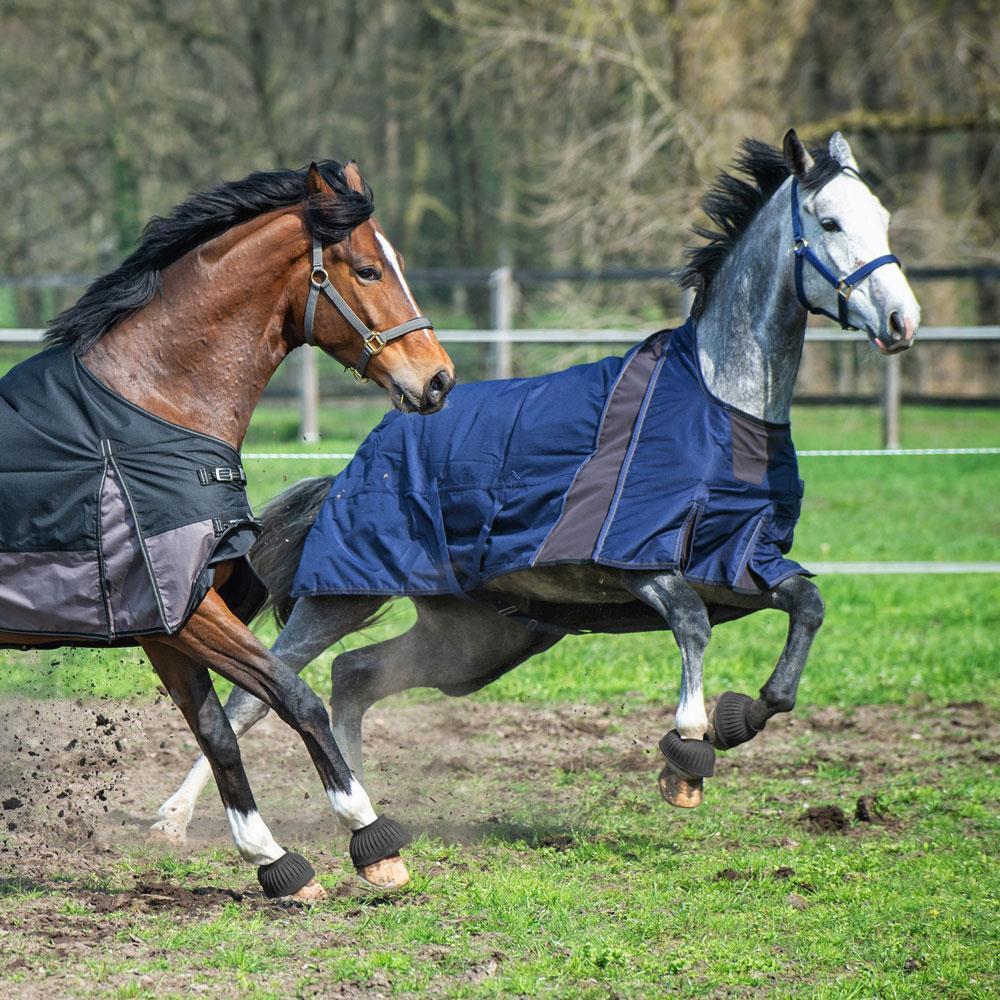 EQuest Nova Scotia fleece-lined horse blanket