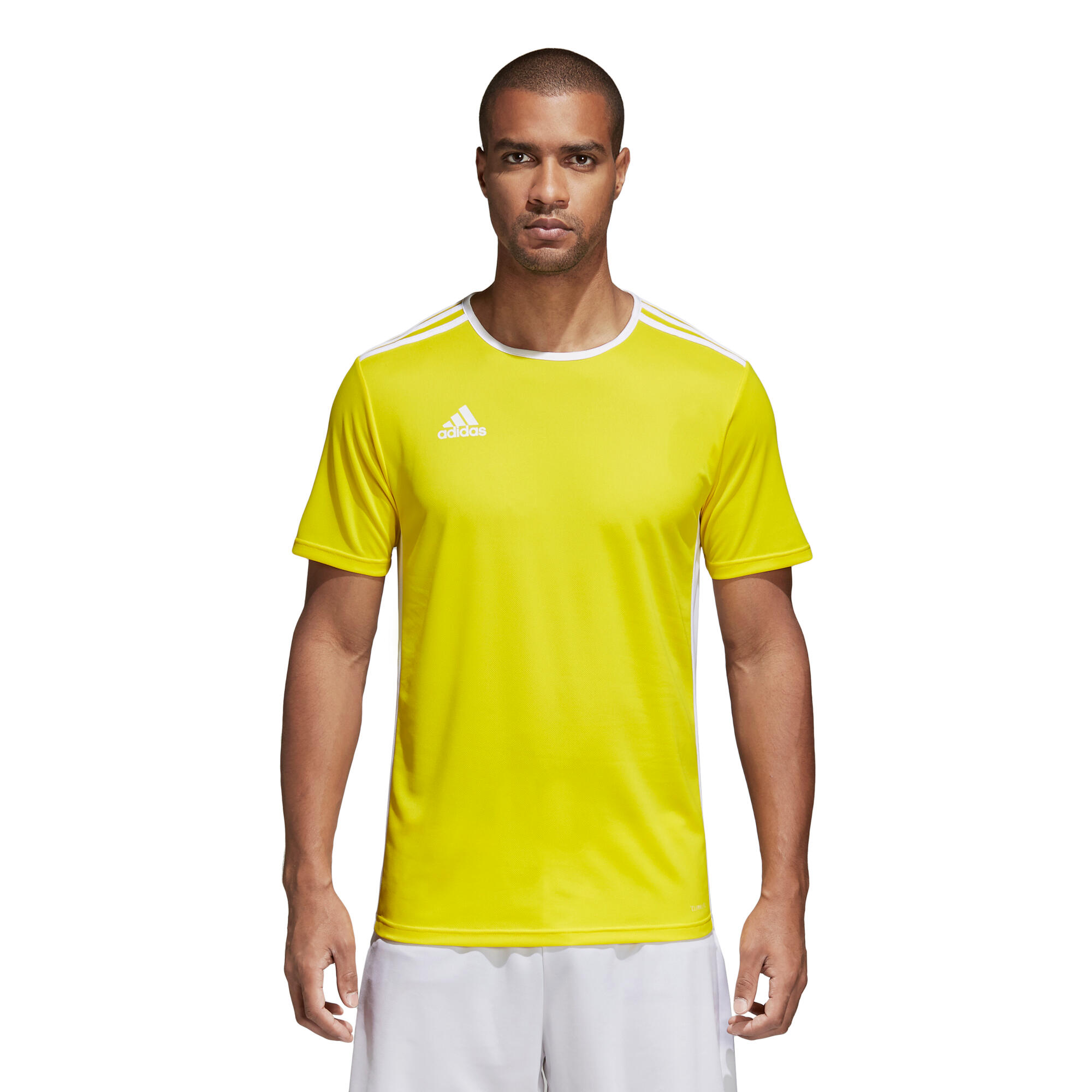 Maillot adidas Entrada 18 3/5
