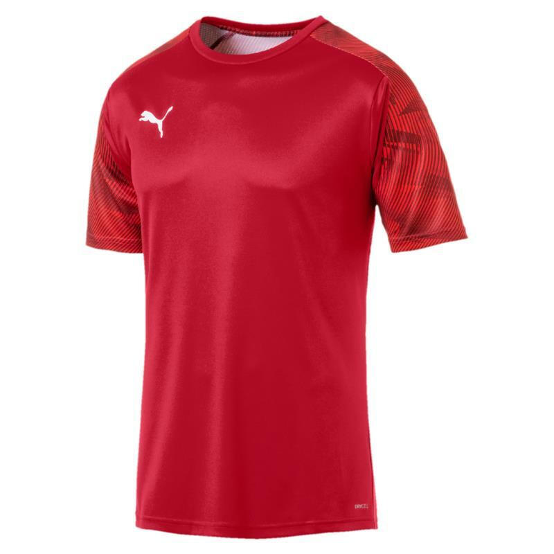 PUMA picture
