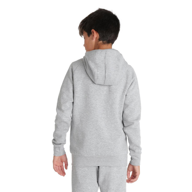 Hanorac sport Arena Junior Team Hooded Sweat Panel