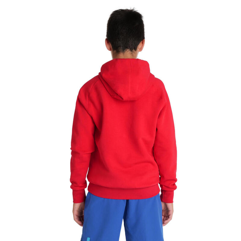 Bluza dziecięca Arena Junior Team Hooded Sweat Panel z kapturem