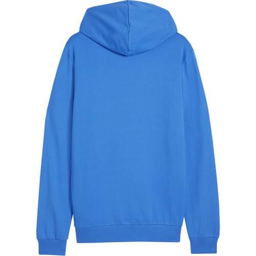 Hoodie Puma Teamgoal Casuals