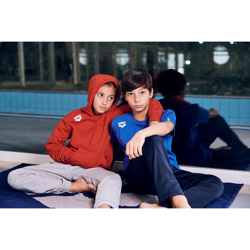 Hanorac sport Arena Junior Team Hooded Sweat Panel
