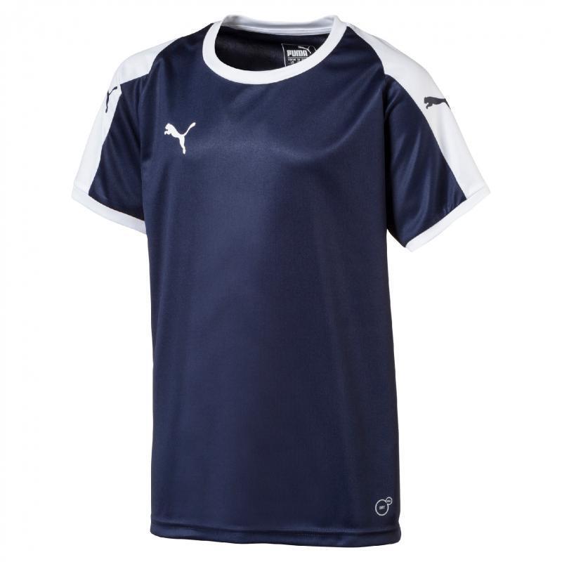 PUMA picture