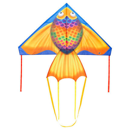 Cerf-volant Delta poisson arc-en-ciel - Hq - Monofil enfant prêt à voler