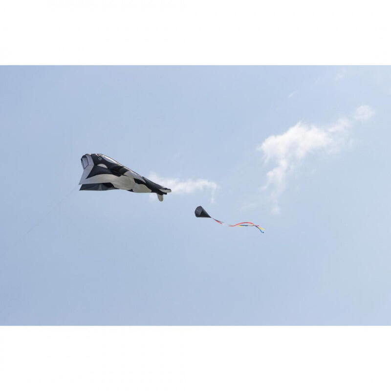 Kinderdrachen HQ Parafoil Kite Orca 106719 Schwarz 60 x 200 cm 5/7