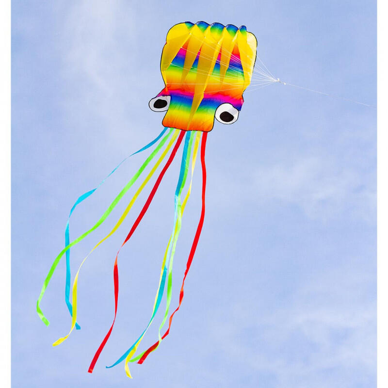 Papagaio "Rainbow Octopus HQ invento 5/5