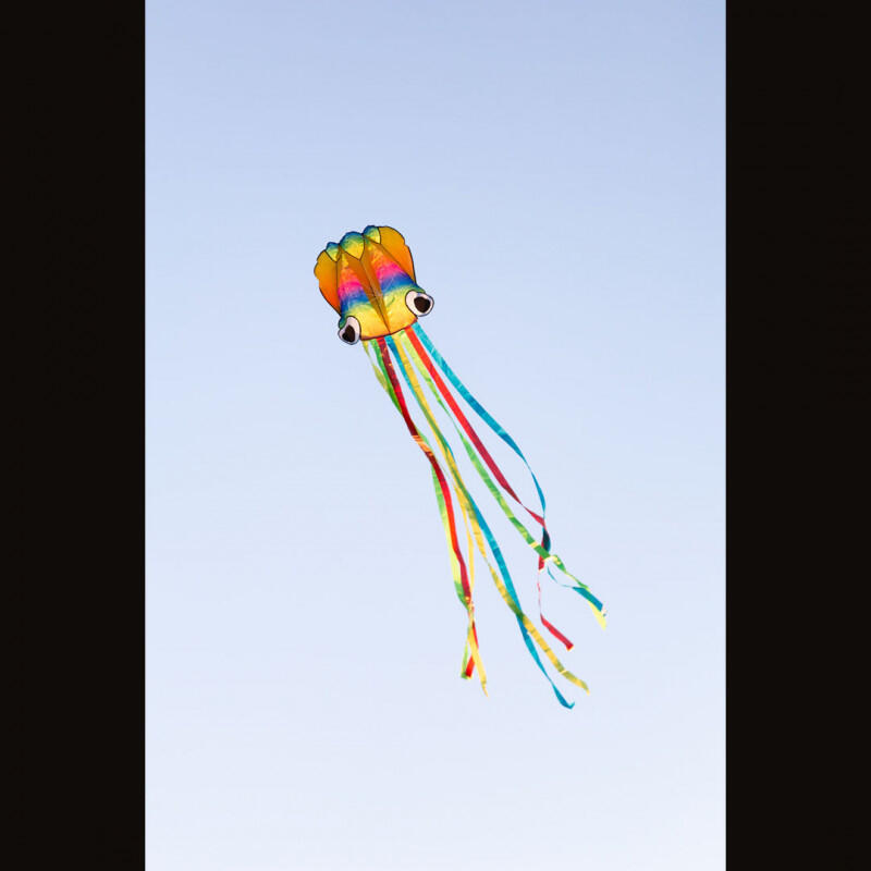 Papagaio "Rainbow Octopus HQ invento 4/5