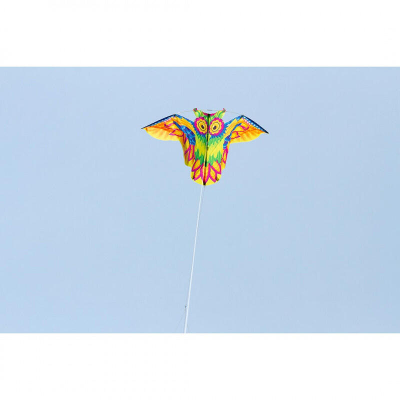 Pipa infantil HQ Flashy Owl Kite 102197 Verde 113 x 50 cm 4/6