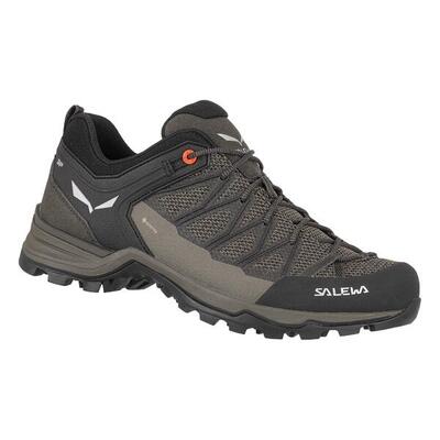 Trekking-Schuhe Mann Salewa Mtn Lite Schwarz