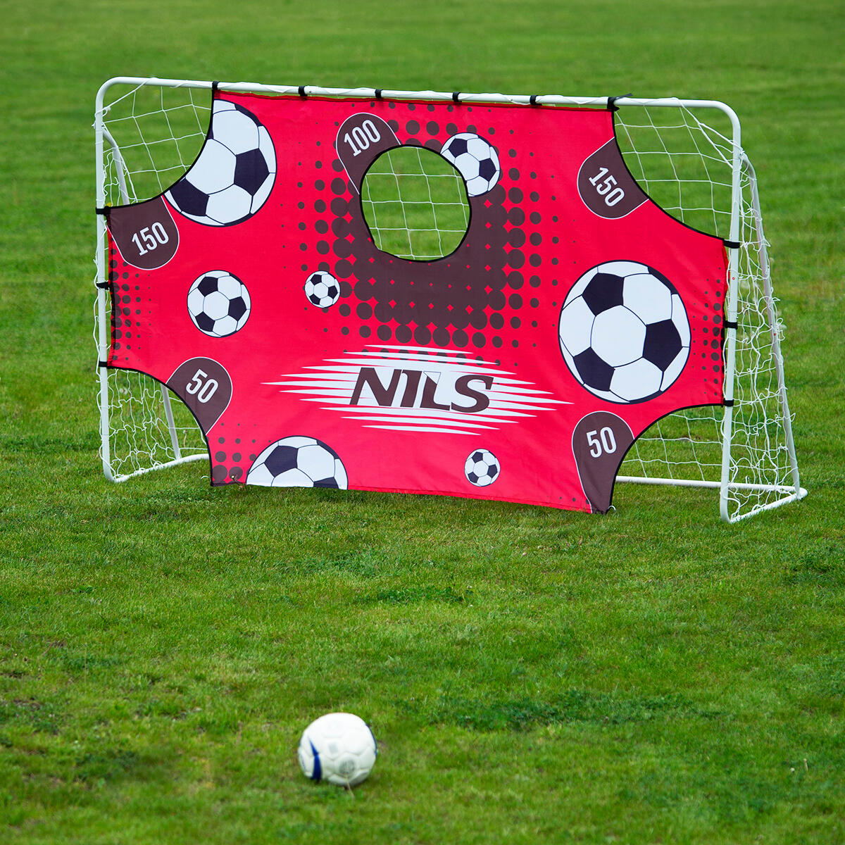 Voetbaldoel NILS BR240P 240 × 150 cm met schottraining target 4/7