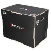HMS picture