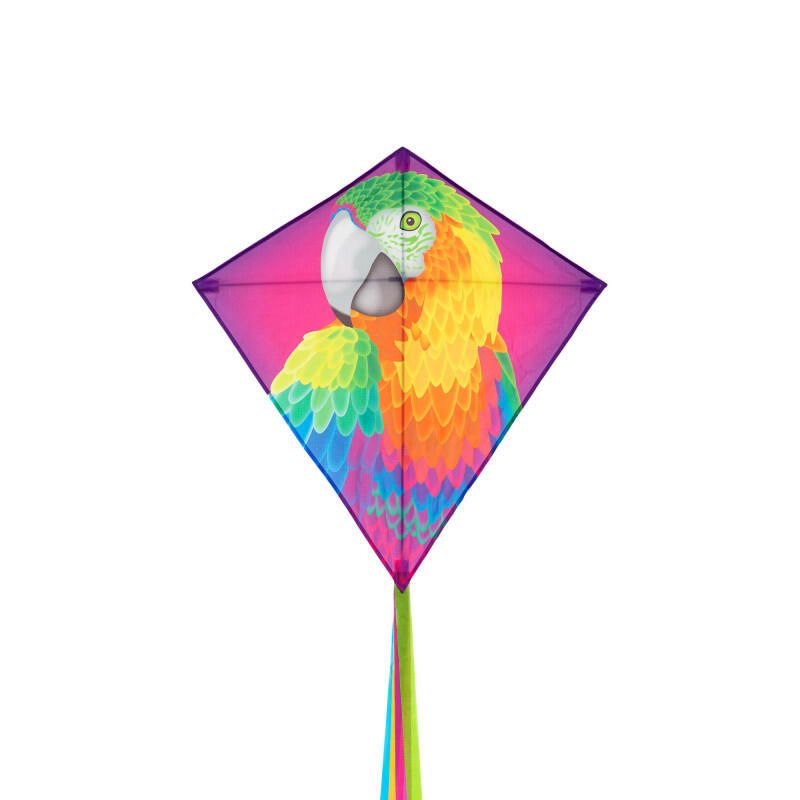 Papagaio para crianças HQ Eddy Parrot 100068 Rainbow 68 x 68 cm 5/5