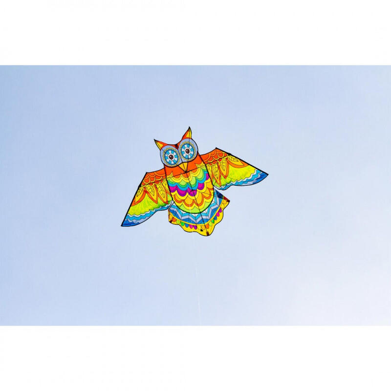 Pipa infantil HQ Jazzy Owl 105103 Arco-íris 145 x 85 cm 4/5