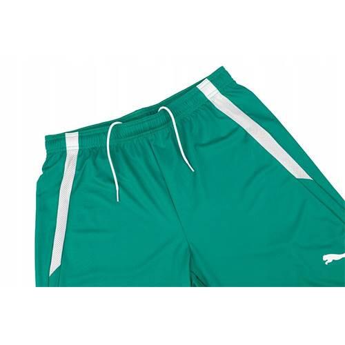 Pantaloni Scurți Drumeții În Natură Puma TeamLIGA Bărbați