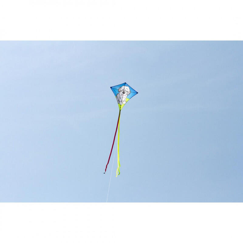 Cerf-volant monofil - Hq - Chien 2/6