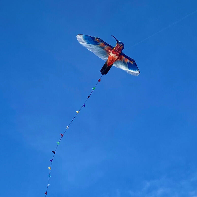 Cerf-volant Colibri - Icare - Monofil 3/3